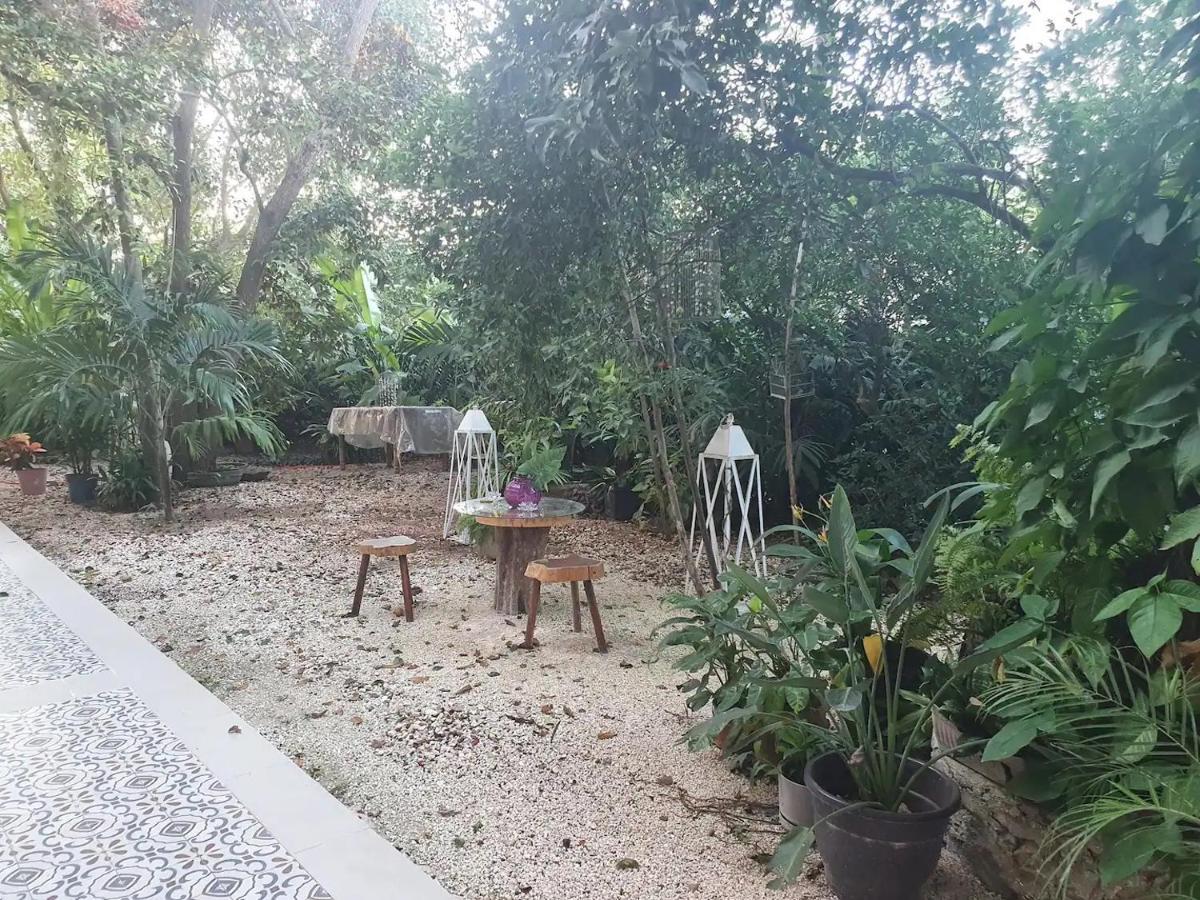 Casa Mercedes Valladolid  Dış mekan fotoğraf