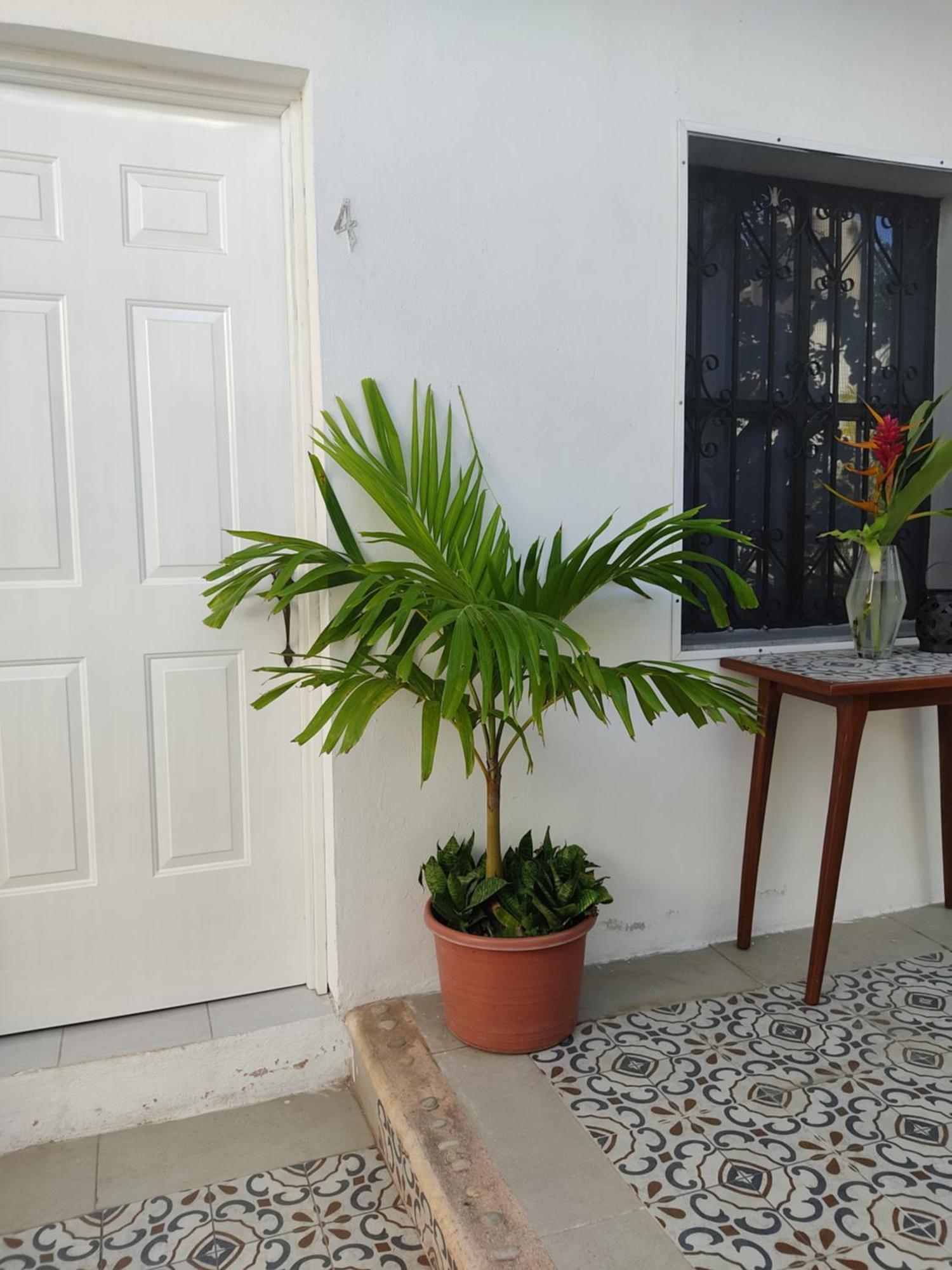 Casa Mercedes Valladolid  Oda fotoğraf